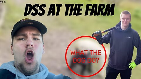 DSS outside the city, farm life(vol 17)