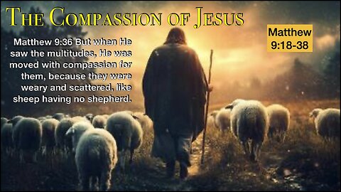 ** Matthew 9:18-38 - The Compassion of Jesus ** | Grace Bible Fellowship Monmouth County | Sermons
