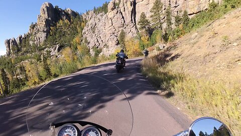 Group Ride In Custer State Park (South Dakota)