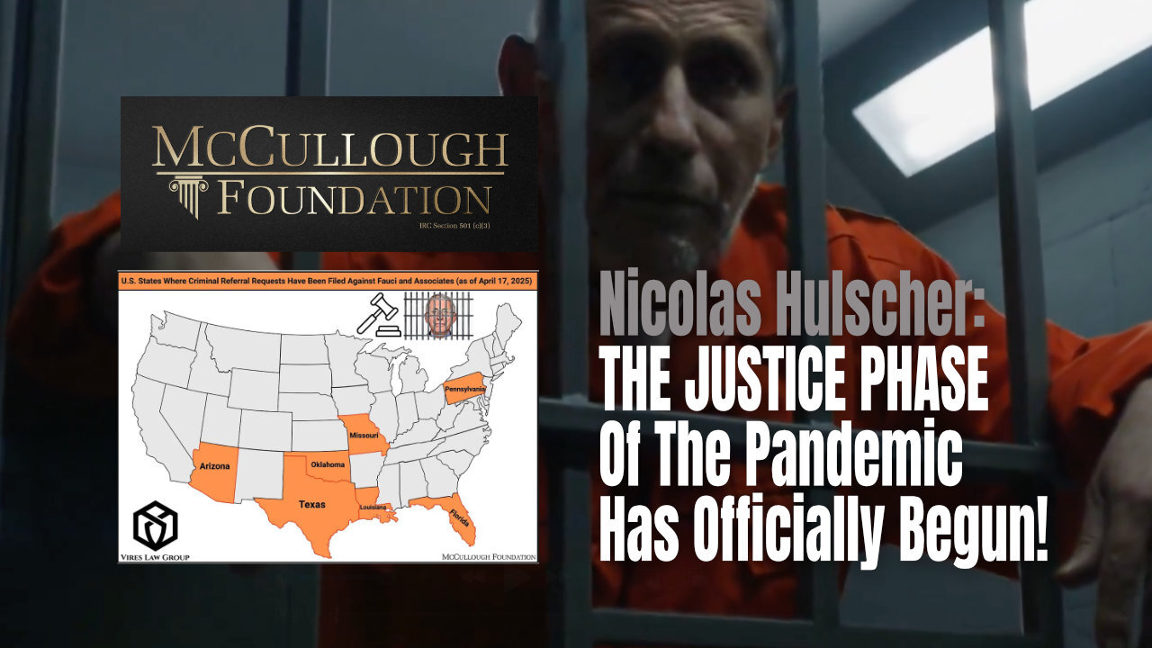 Nicolas Hulscher: THE JUSTICE PHASE Of The Pandemic Has Officially Begun!