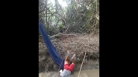 Top 5 Epic Funny Fails Caught on Camera | Try Not to Laugh!