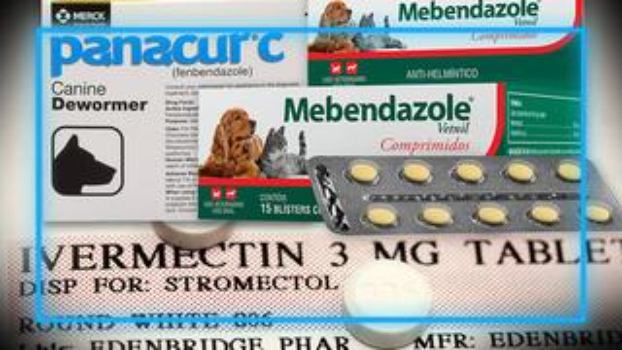 Cancer Doctor Reveals Powerful, Low Cost Anti-Cancer Drugs Ivermectin, Fenbendazole & Mebendazole!