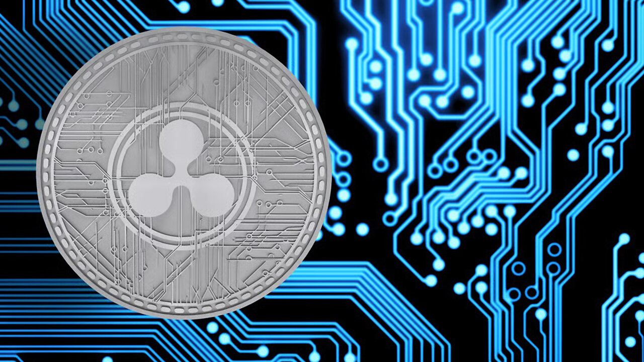 XRP OMG DAVID SCHWARTZ 5 TIMES !!!!!