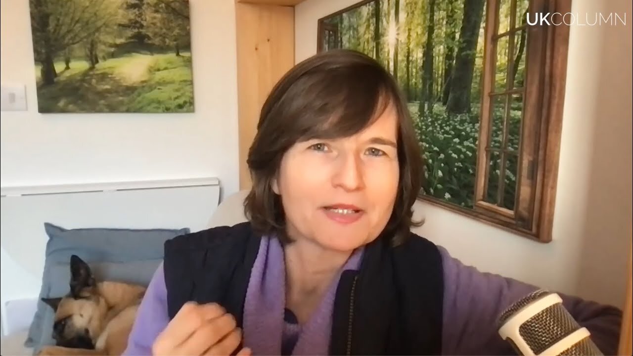 Misadventures of an Accidental Activist