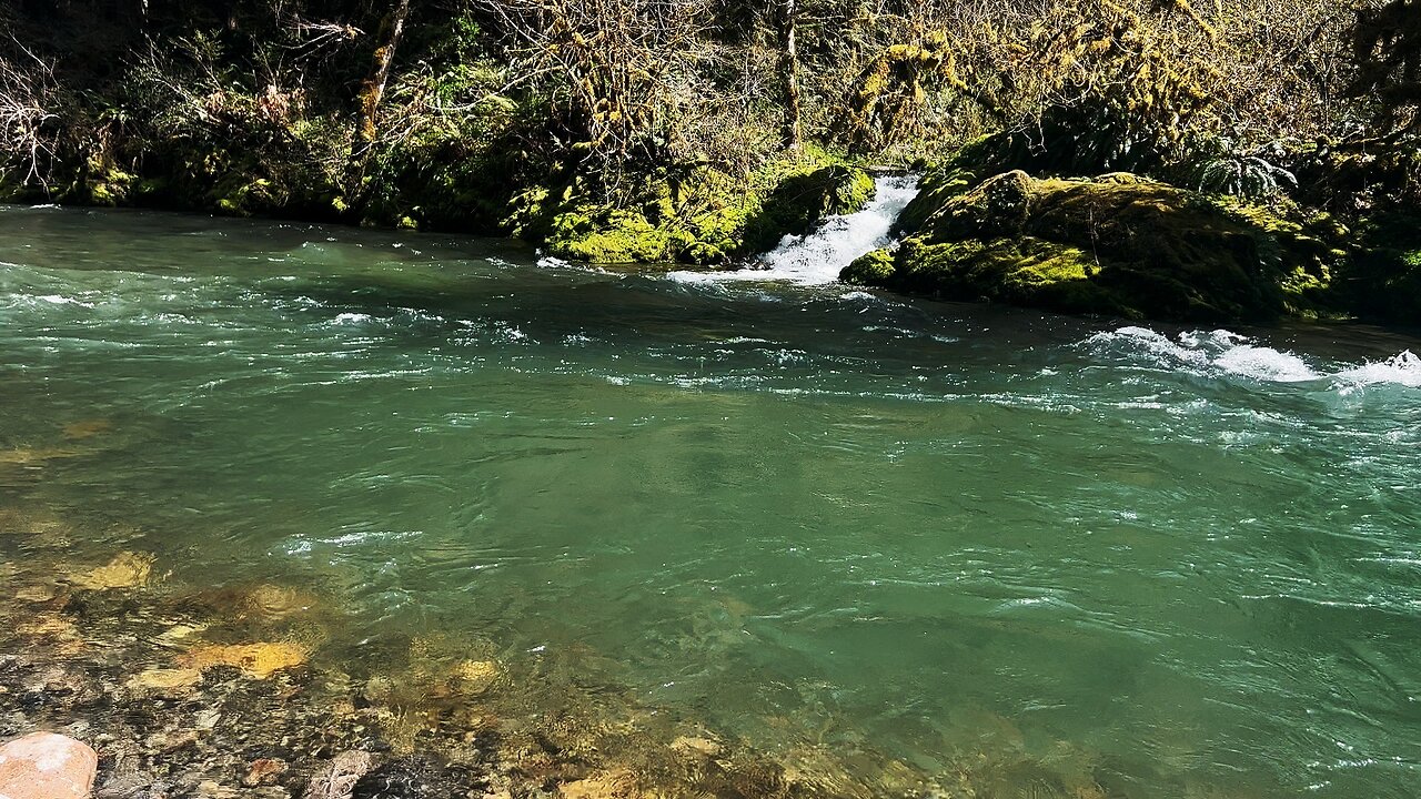 (4K UHD) SILENT PERSPECTIVES @ Yukwah Campground! | South Santiam River | Willamette NF | Oregon