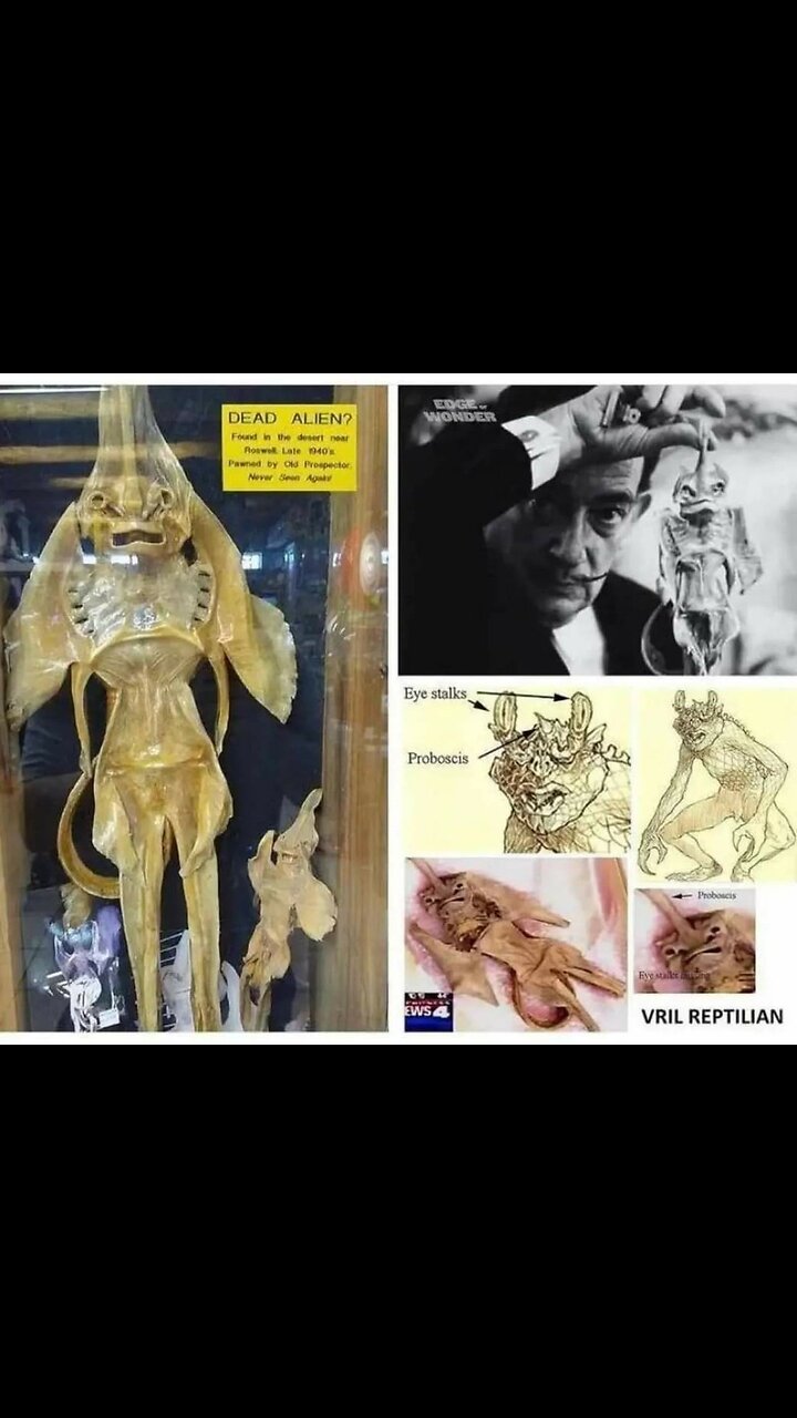 VRIL CLIP + NOTES IN DESCRIPTION