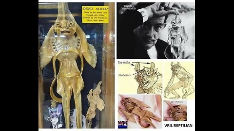 VRIL CLIP + NOTES IN DESCRIPTION