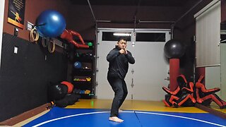 WTD 2 Step Kick Combination 104