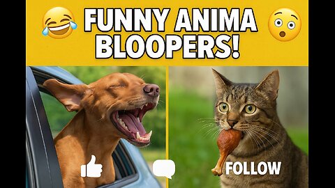 “The Funniest Animal Moments Compilation! From Fails to Stealing!”