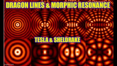 Telluric Currents & Morphic Resonance