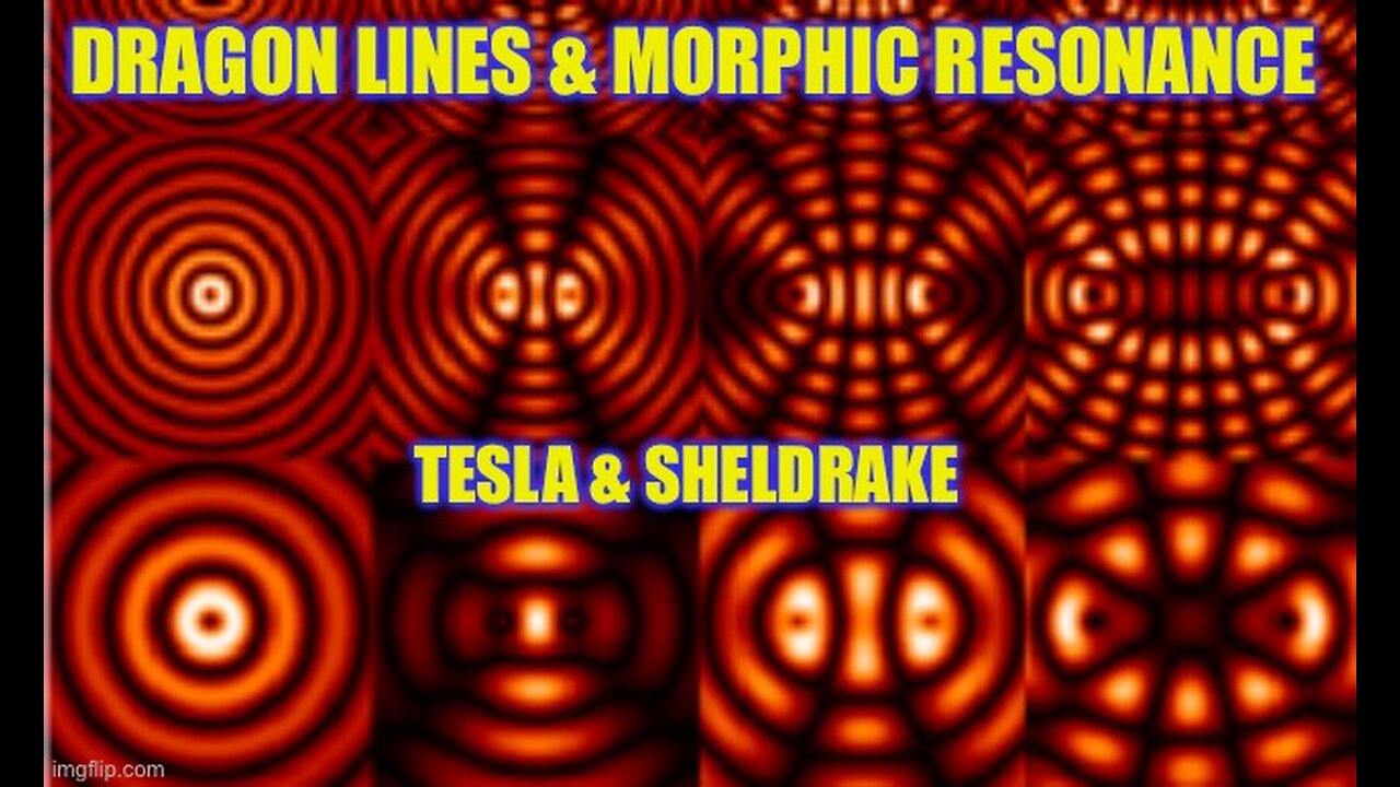 Telluric Currents & Morphic Resonance