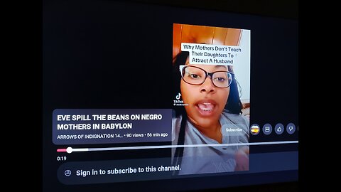 EXPOSED: BLACK WOMEN ARE EVIL BASTARDS, VILLAINS, HYENAS, LIARS, HOES, SLUTS, AND DEMONIC BITCHES!