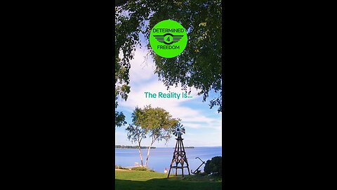 The Reality Is...