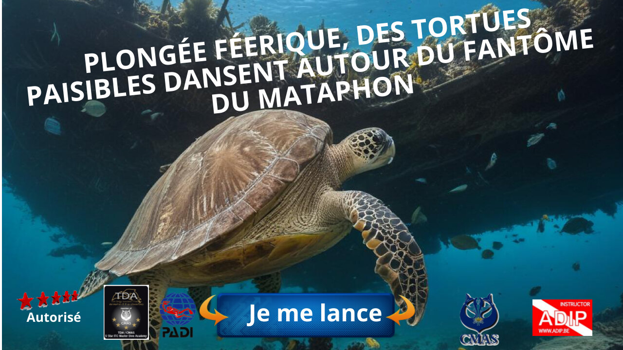Plongée féerique, Des tortues paisibles dansent autour du fantôme du Mataphon