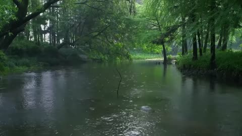 The beautiful little river is raining