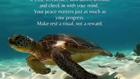 Rest