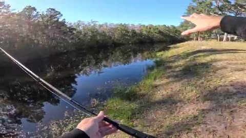 Fishing for 10lb Bass in LOADED Pond!