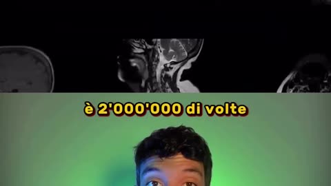 BIOCOMPUTING.... è realtà