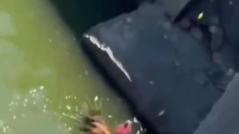 Chinese anglers always manage to fish up the weirdest things.除了鱼啥都能钓上来