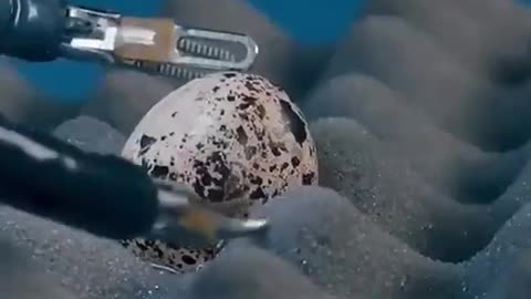 🤯🔬 This Surgical Robot from China Performs a Test on a Quail Egg! | FeedMyCuriosity
