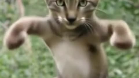 Dont Look at it