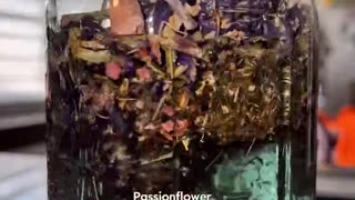 Brain Detox Infusion