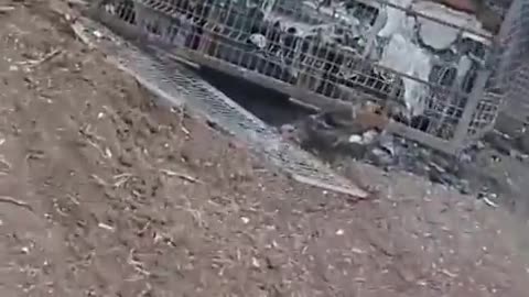🔥🚜 Ukraine Russia War | Destroyed Ukrainian Humvee on the Frontline | RCF
