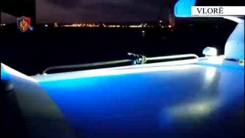Vlorë/ Shpëtohet veliera në Ishullin e Sazanit