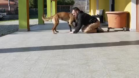 Working together