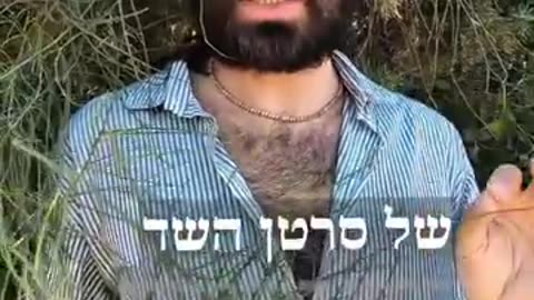צמח השרביטן המצוי