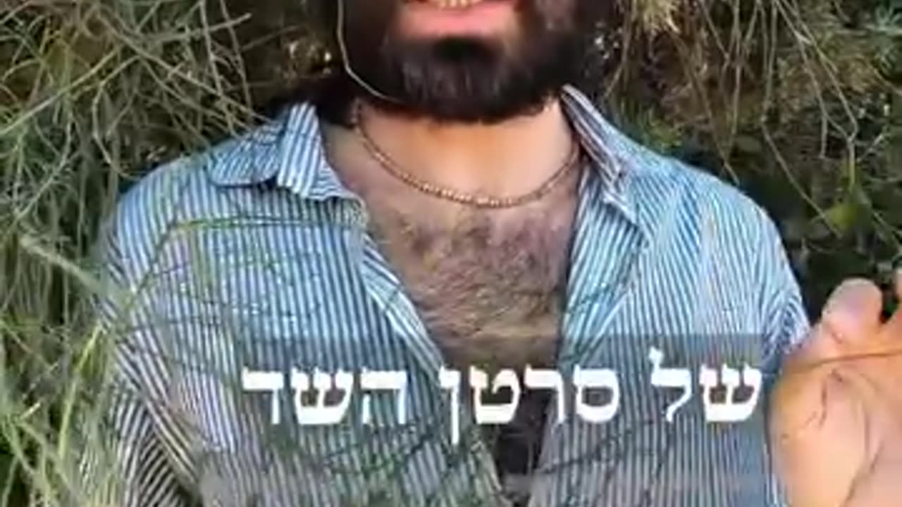 צמח השרביטן המצוי