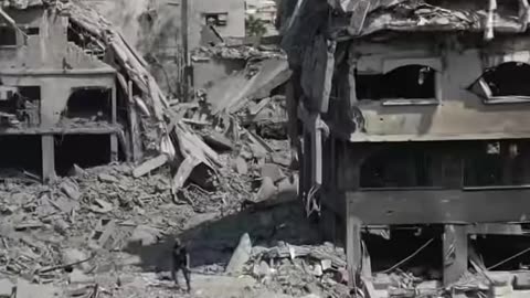 COWARD NETHANYAHU 🏃