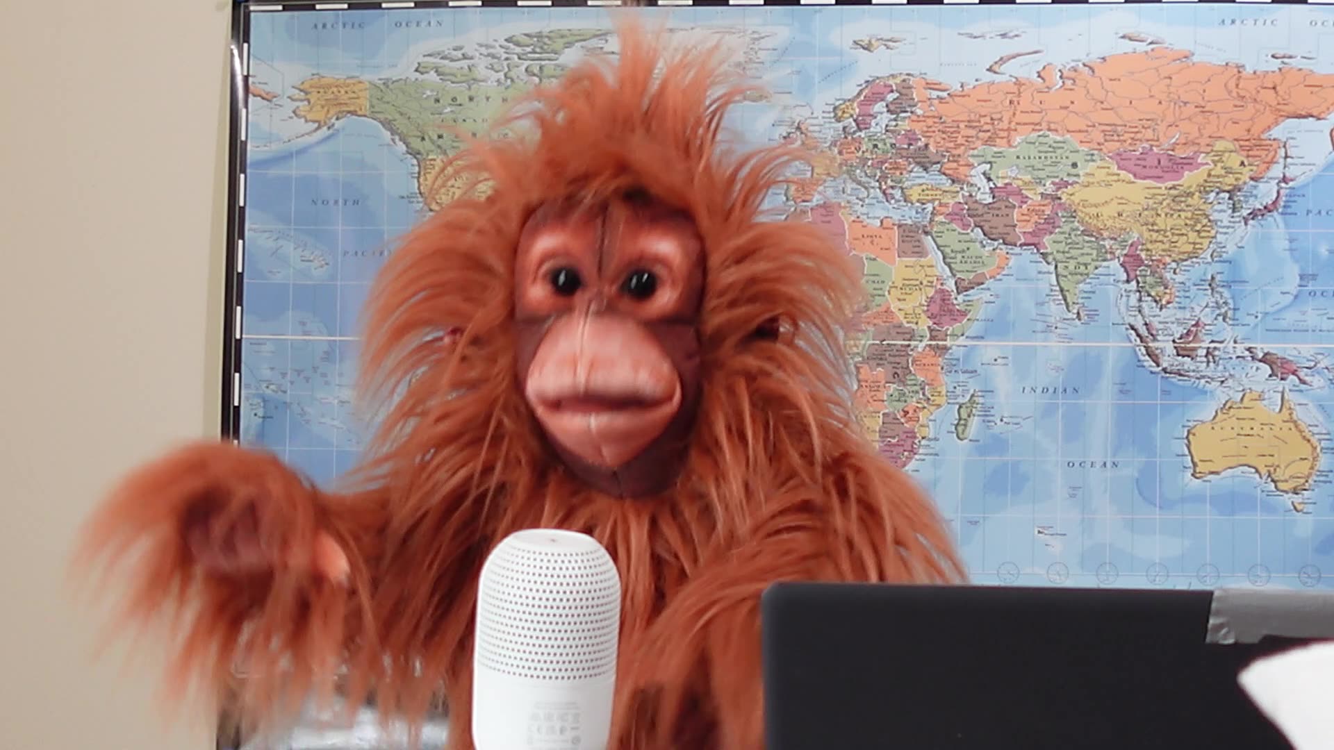 Oscar shines like on Canada Finance Minister François-Philippe Champagne.