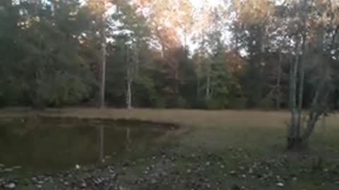 Charlie Kirk found out the truth about Epstein