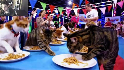 The Cats Attempt The Vegan Pasta Eating Contest Fake Funny Parody Video