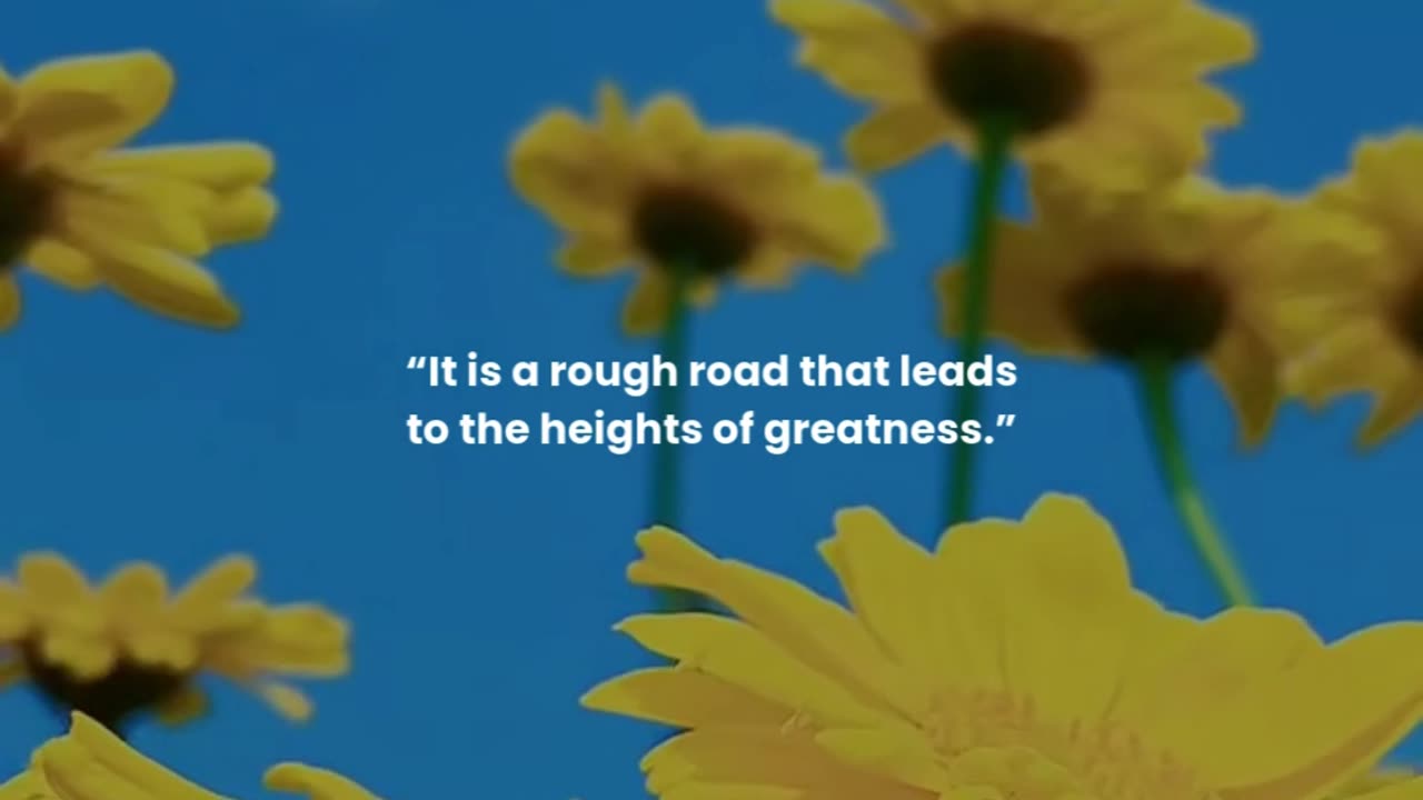 It is a rough road that leads to the heights of greatness.