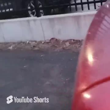 NYC Migrant DuWI & Hit & Run Suspect Drive In Parking Lot To Evade The Authorities