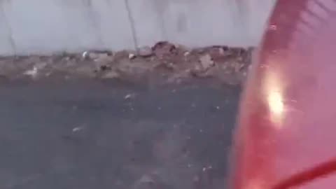 NYC Migrant DuWI & Hit & Run Suspect Drive In Parking Lot To Evade The Authorities