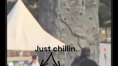 What is going on here?