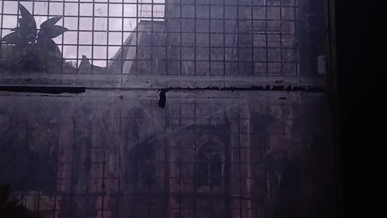 Hula hooping happy valley