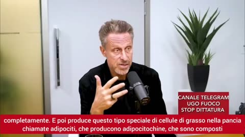 L'impatto dello zucchero sulla nostra salute.