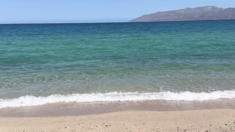 Linfedema y Gota: Diagnóstico y Tratamiento