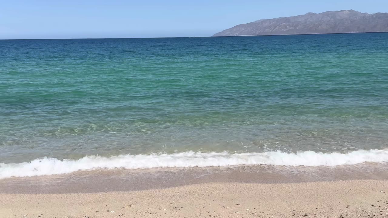 Linfedema y Gota: Diagnóstico y Tratamiento