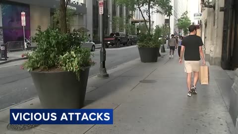 6 suspects wanted after viciously attacking military veterans with pipe in Philadelphia