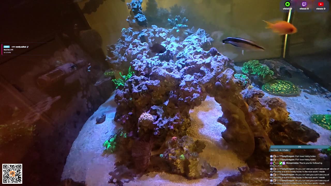 24/7 Real Live Reef Stream