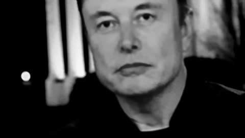 Elon musk speaks on deranged democrats setting teslas on fire