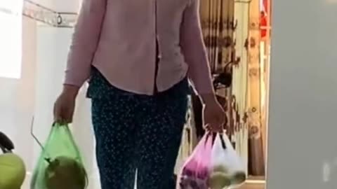 The dog helps carry things when the owner returns from the market