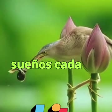 😊 167 TUS PENSAMIENTOS SON SEMILLAS, CUÍDALAS Y FLORECERÁN 😊