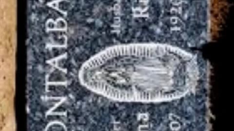 FAMOUS GRAVES - VOL. 590: RICARDO MONTALBAN