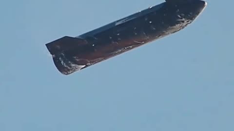 Celestial Dildo 🚀 (Starship 38 landing in the Indian ocean )